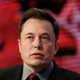Musk. AP